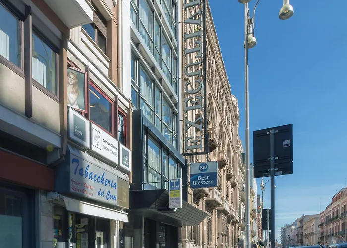 Executive Business Hotel