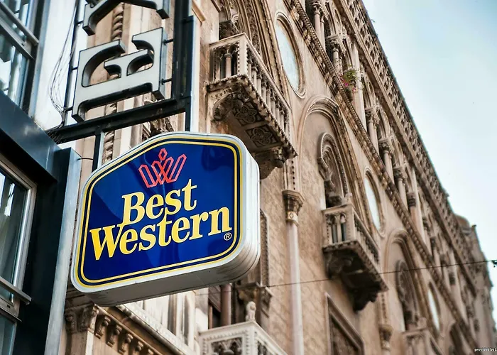 Otel Executive Business